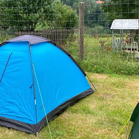 Camping F Selbstversorger Gut Jagerhof Semriach Екстериор снимка